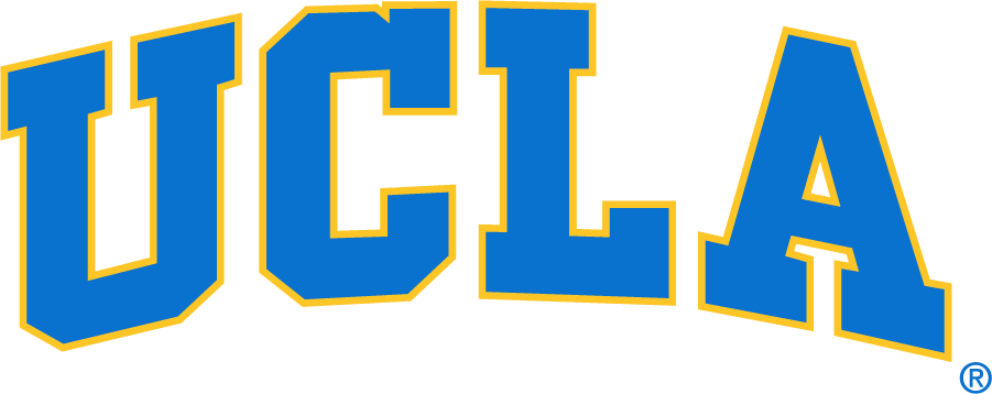 UCLA Bruins 1996-2017 Wordmark Logo v2 t shirts iron on transfers